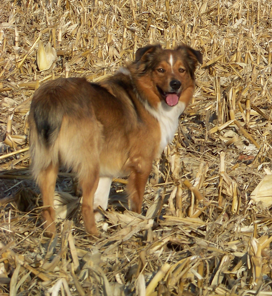 At 1 year old